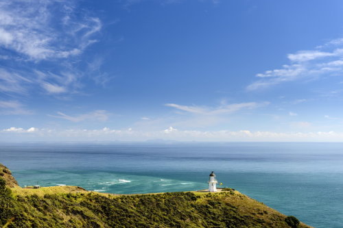 Visit Cape Reinga